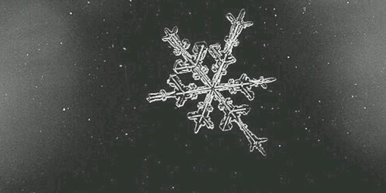 Edward_HWS2's profile banner image