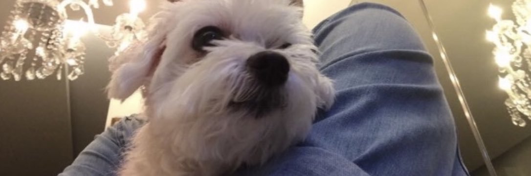 joelhoe's profile banner image