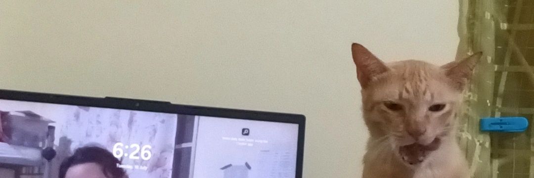 ninerrssz's profile banner image