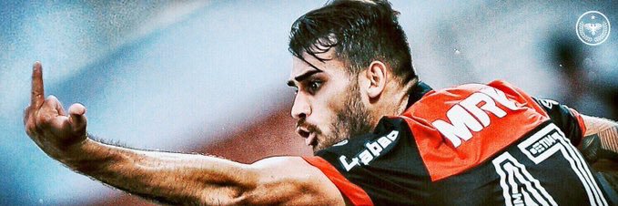 raphael_auer's profile banner image