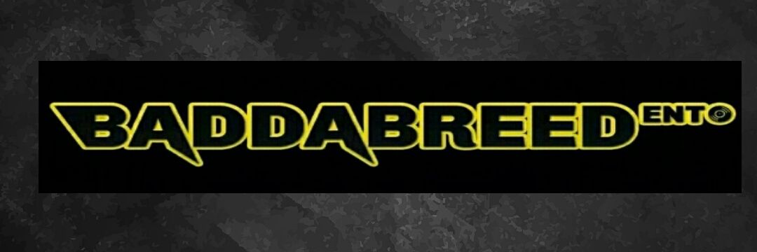 QueenBaddaBreed's profile banner image