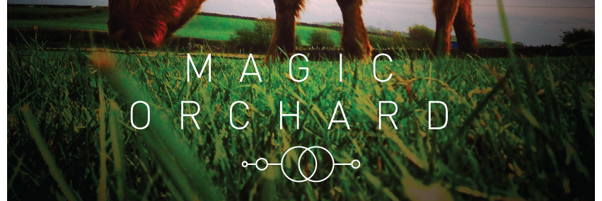 MagicOrchard's profile banner image
