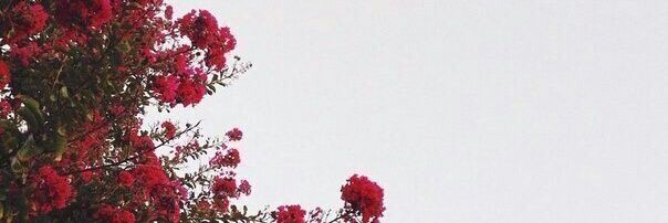 chamsyrb's profile banner image
