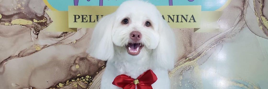TonySinceXCVI's profile banner image