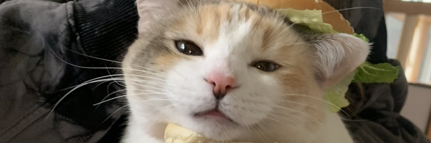 zvyyy_'s profile banner image