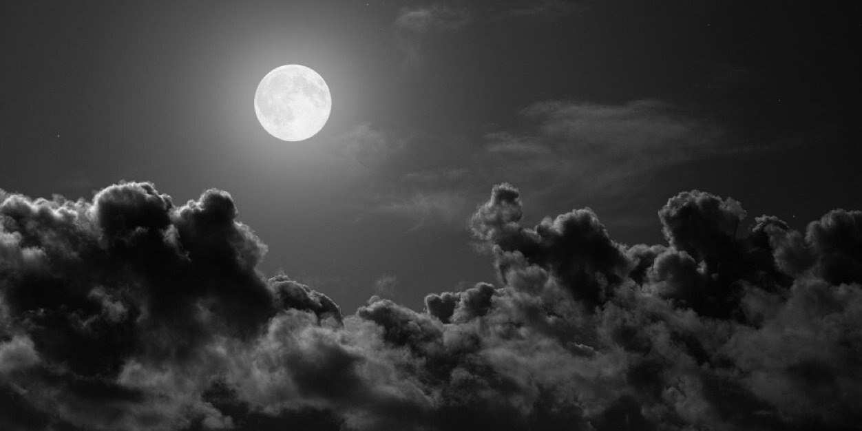 mjmurphy61's profile banner image