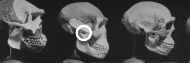 F5516F's profile banner image