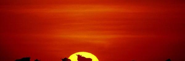 BISHTanzania's profile banner image