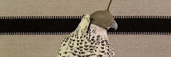 2lji7 Profile Banner