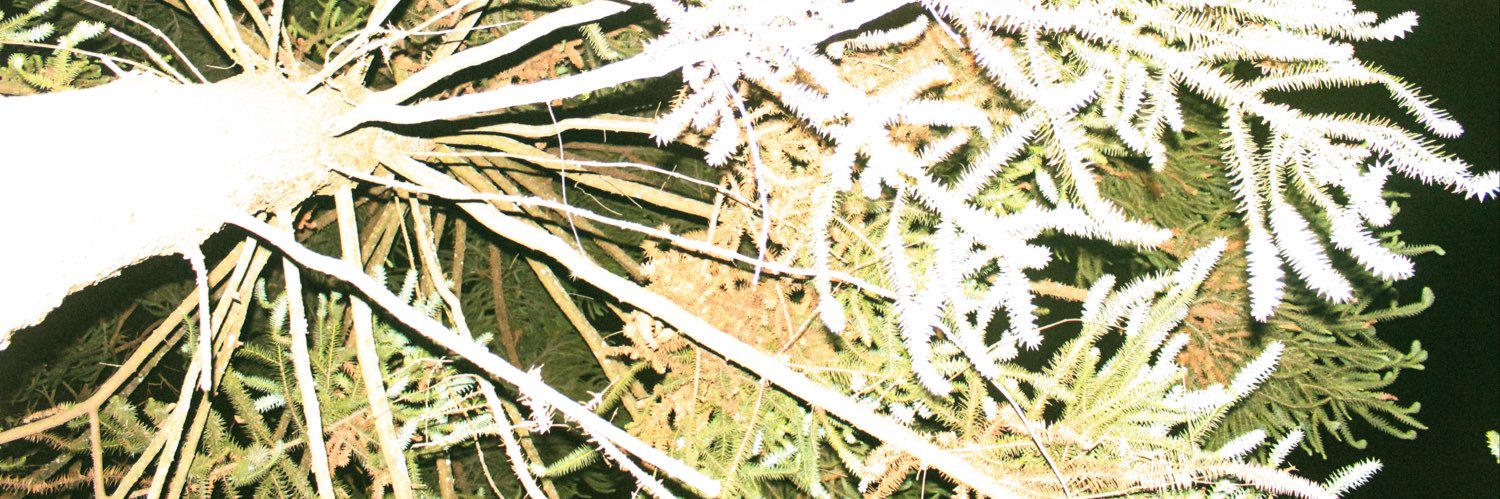 guifiles's profile banner image