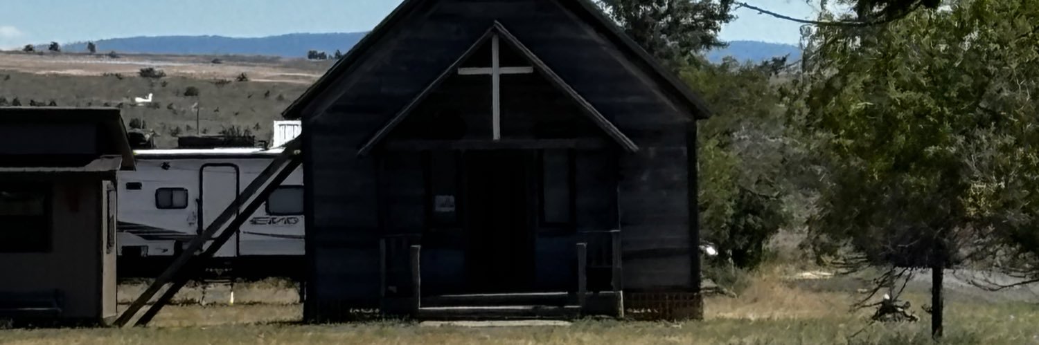 psladiebug's profile banner image