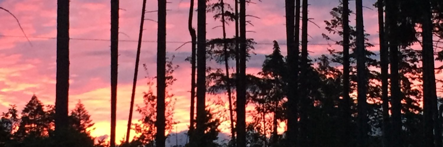 Carole (with an e)🇨🇦 banner