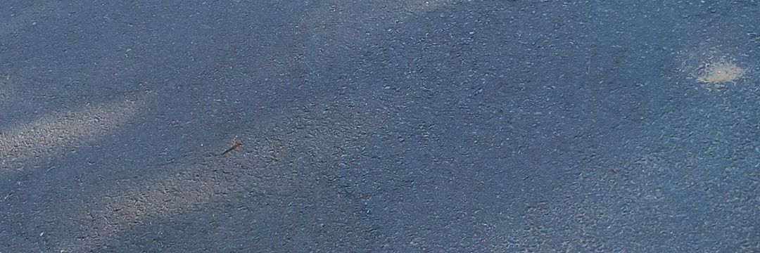 rubofel's profile banner image