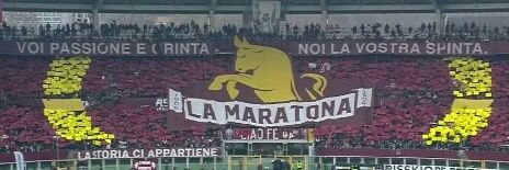 AndreaElToro banner