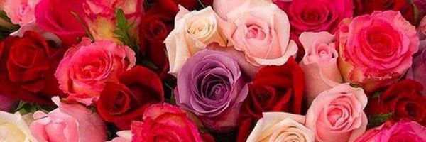 mohamd13558's profile banner image