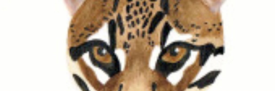 LaMarketta's profile banner image