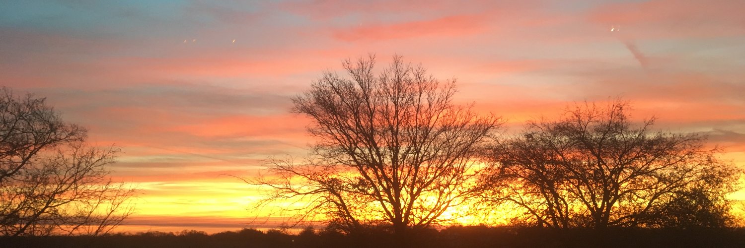 William Probst banner