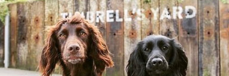 TimbrellsYard's profile banner image