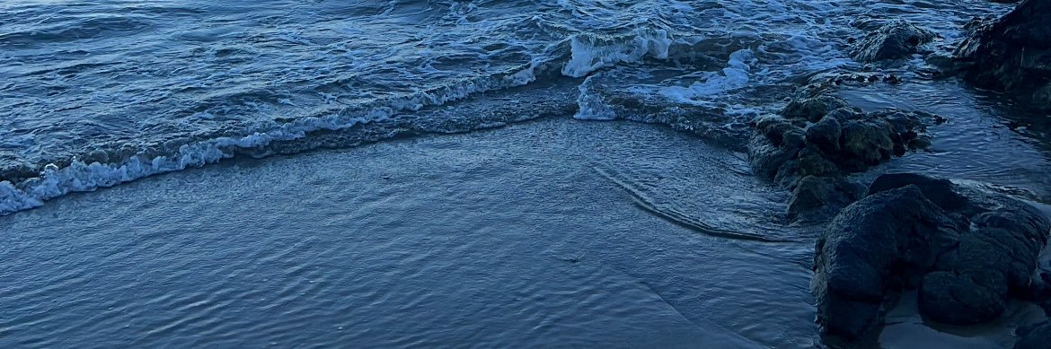 SandraPieiro's profile banner image