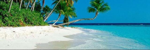 sammi_miami's profile banner image