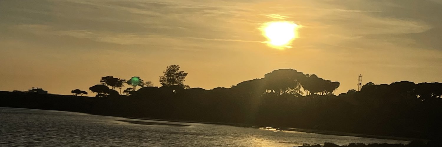 🅿️iliiii banner