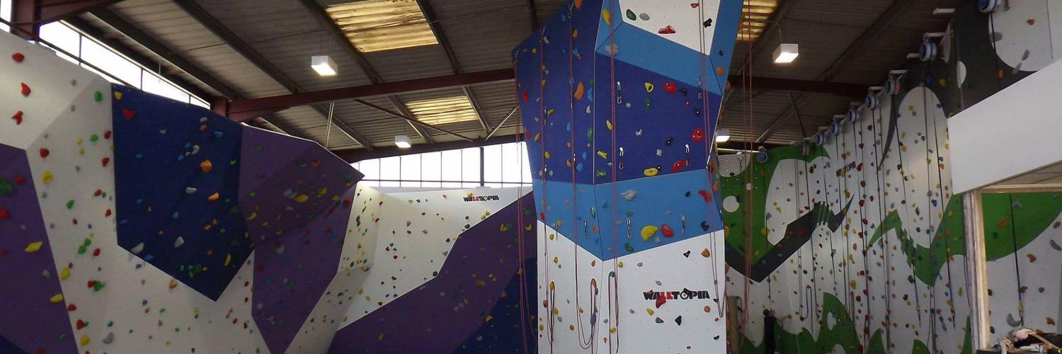 GoldenGeckoClimbing banner