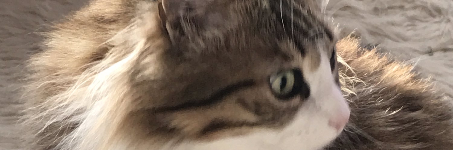 ssees8's profile banner image