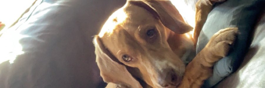 CheyenneJana77's profile banner image