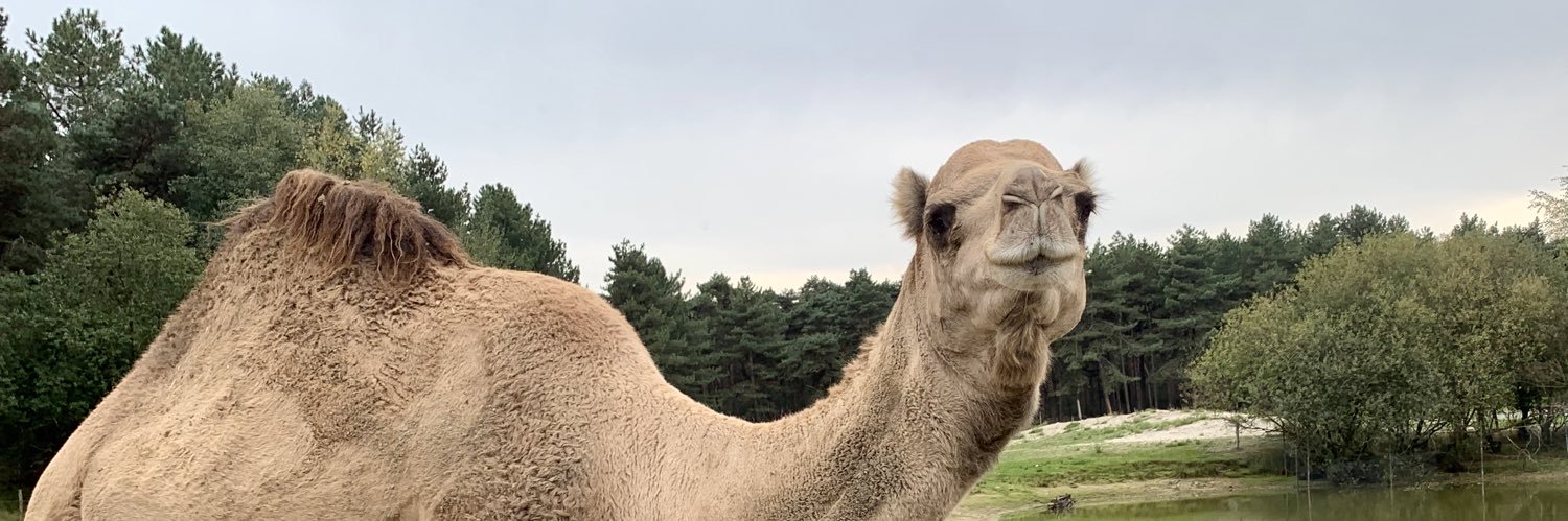 CharlottedeReus's profile banner image