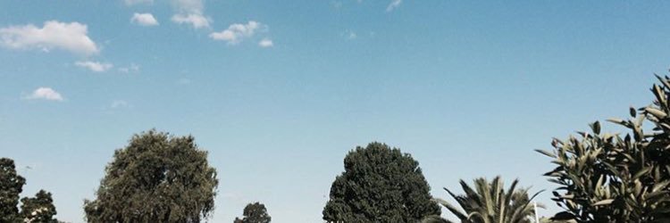 Maddyhill5's profile banner image