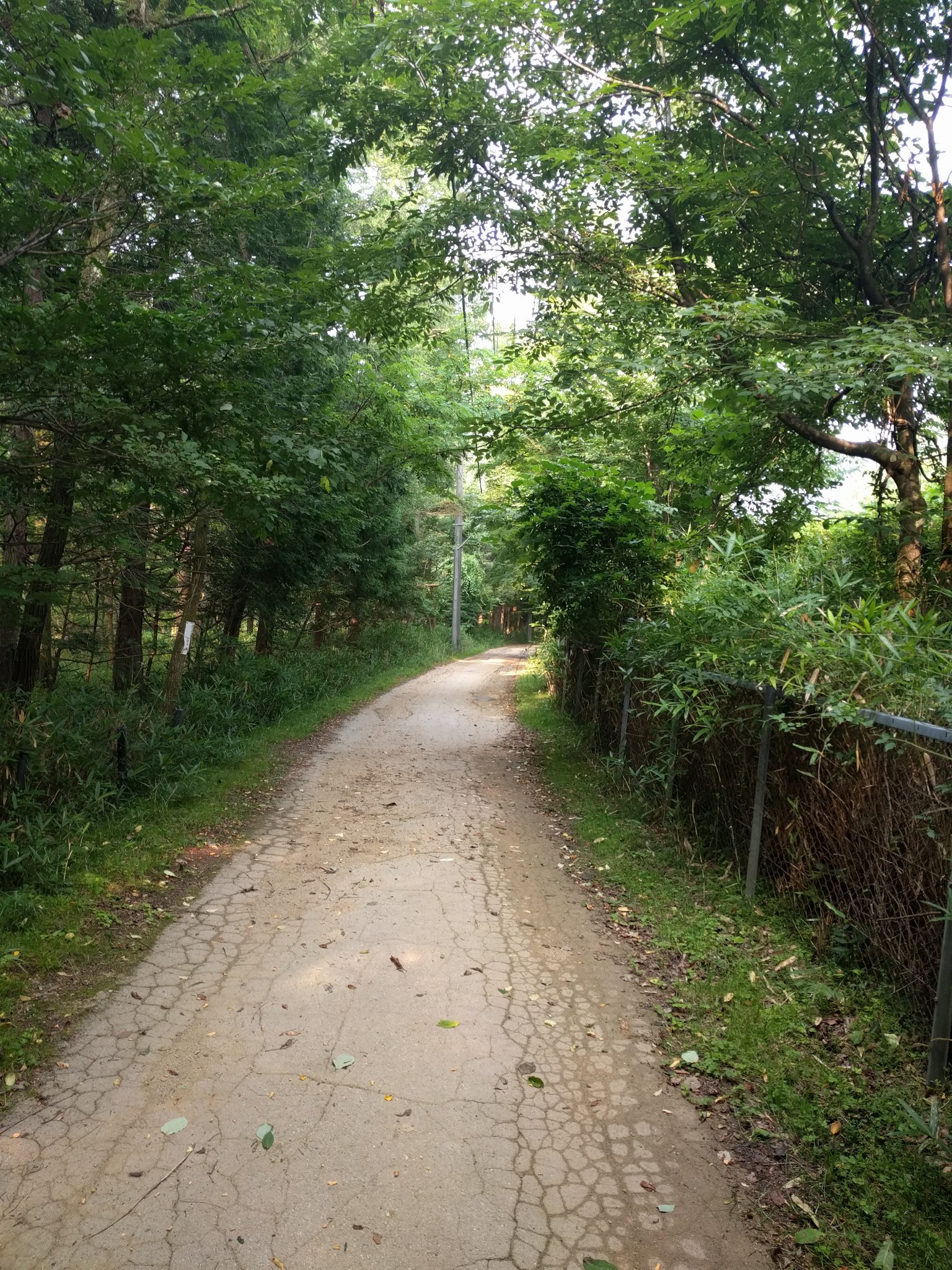 Hellbore64's profile banner image