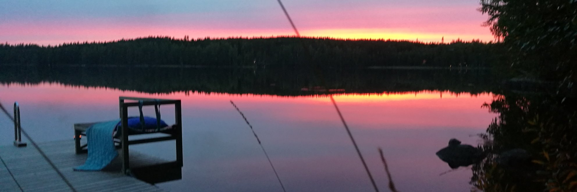 Tytti Soini banner