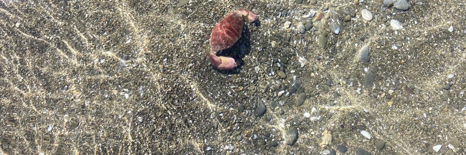 Dr. Stickyicky banner