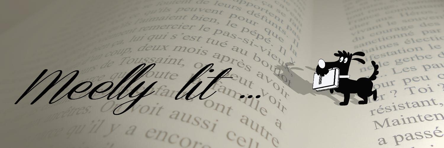 meellylit's profile banner image