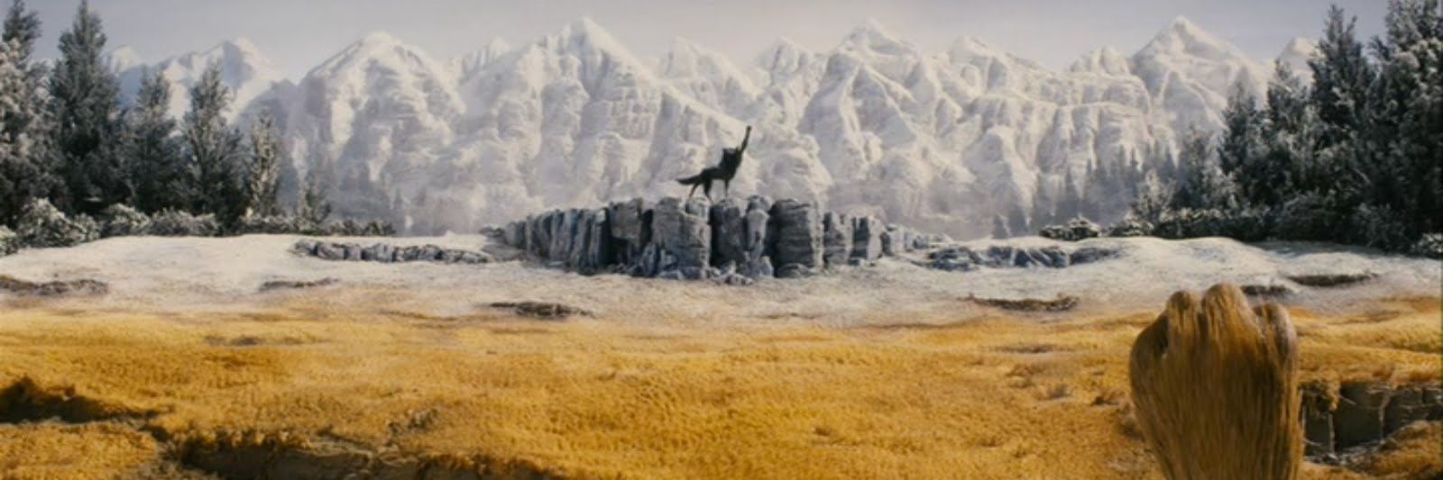 Moritz Spangemacher banner