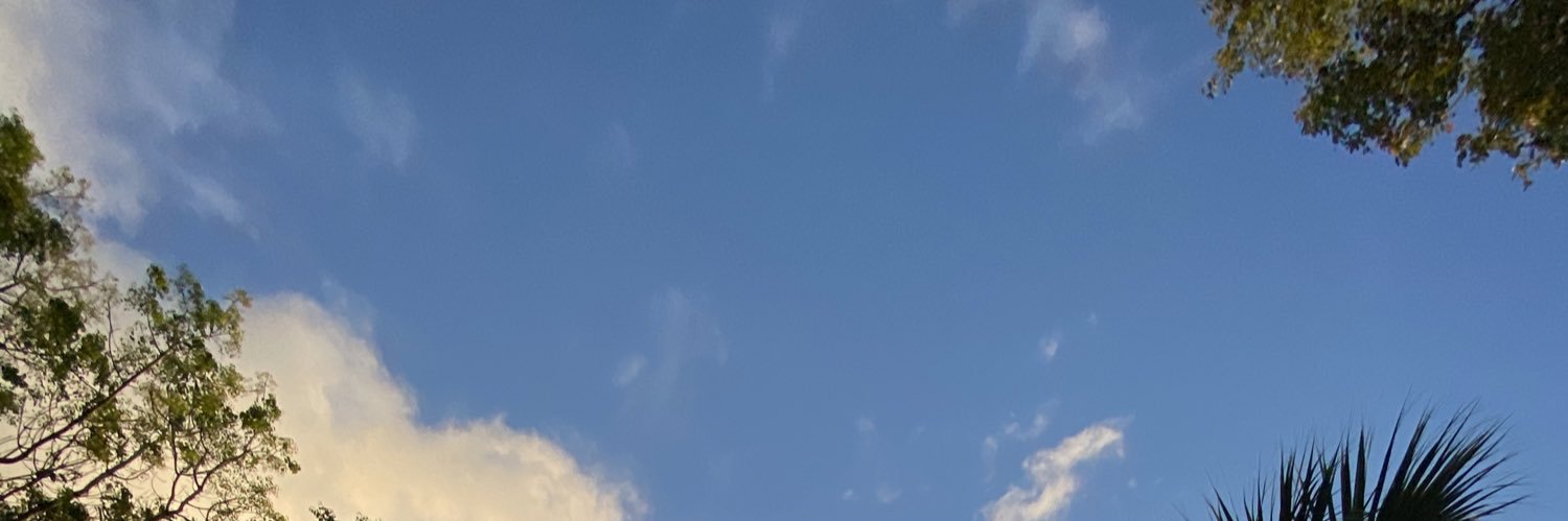 pico_esteban's profile banner image