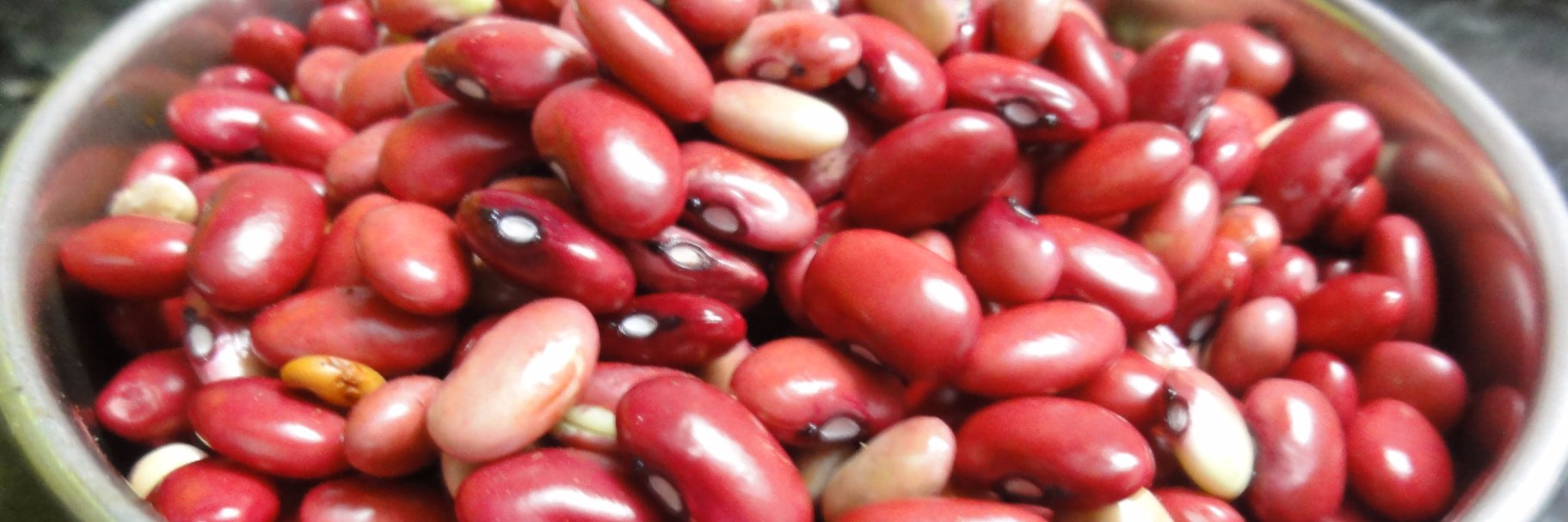 IUFoodInstitute's profile banner image