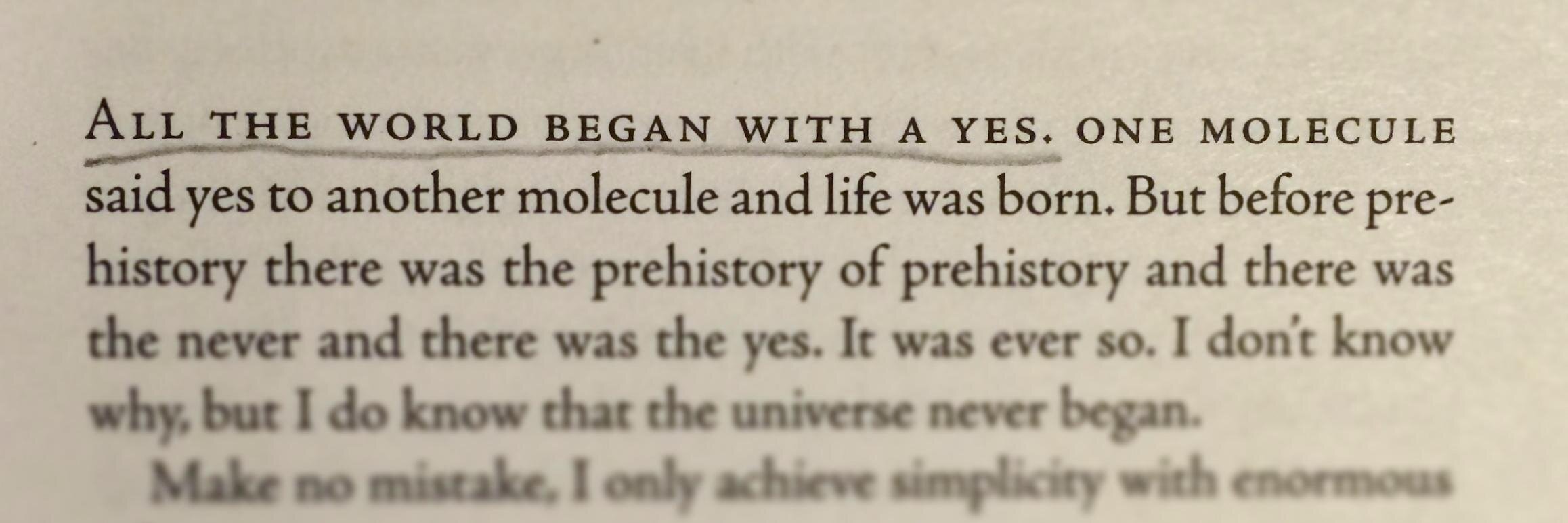 Victoria Tillotson banner