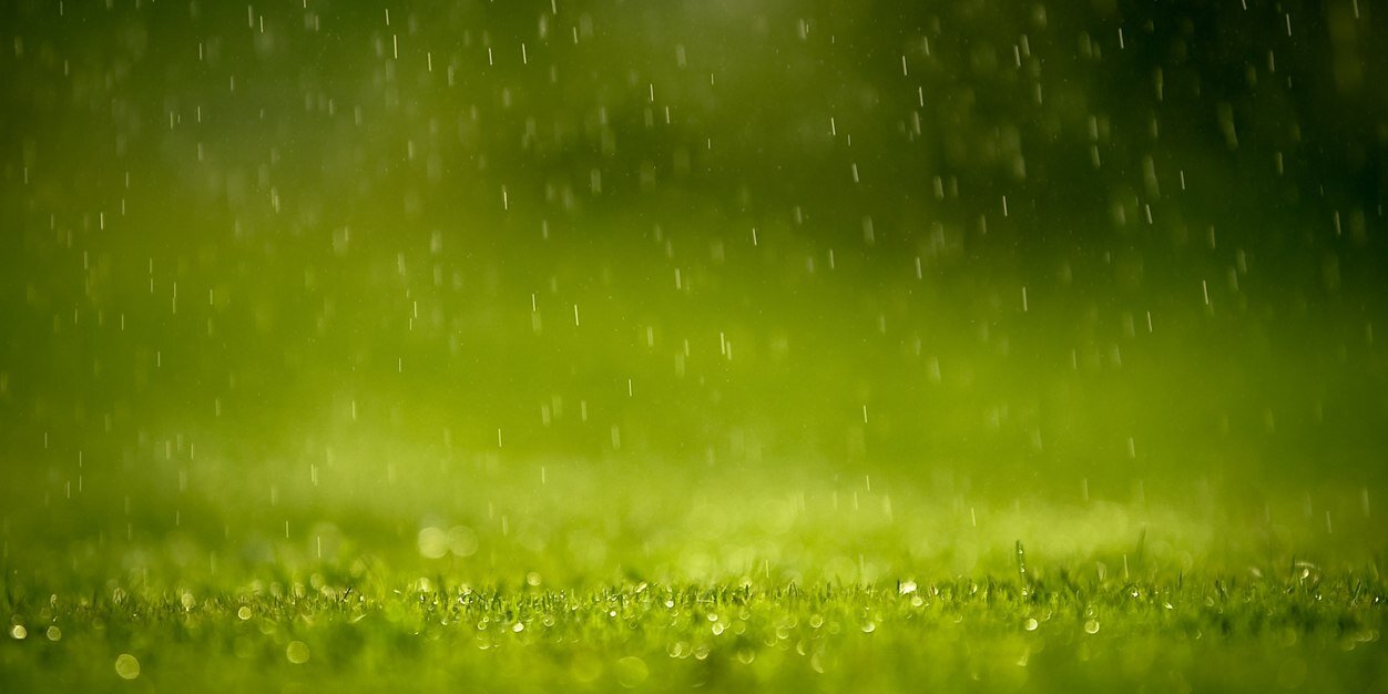 از گور برخاسته banner