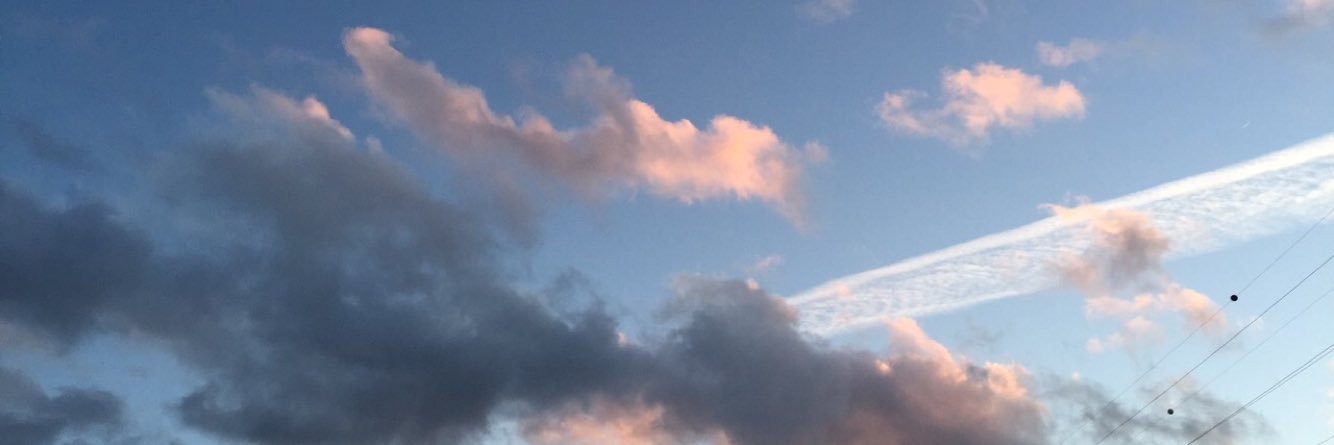 catarina5's profile banner image