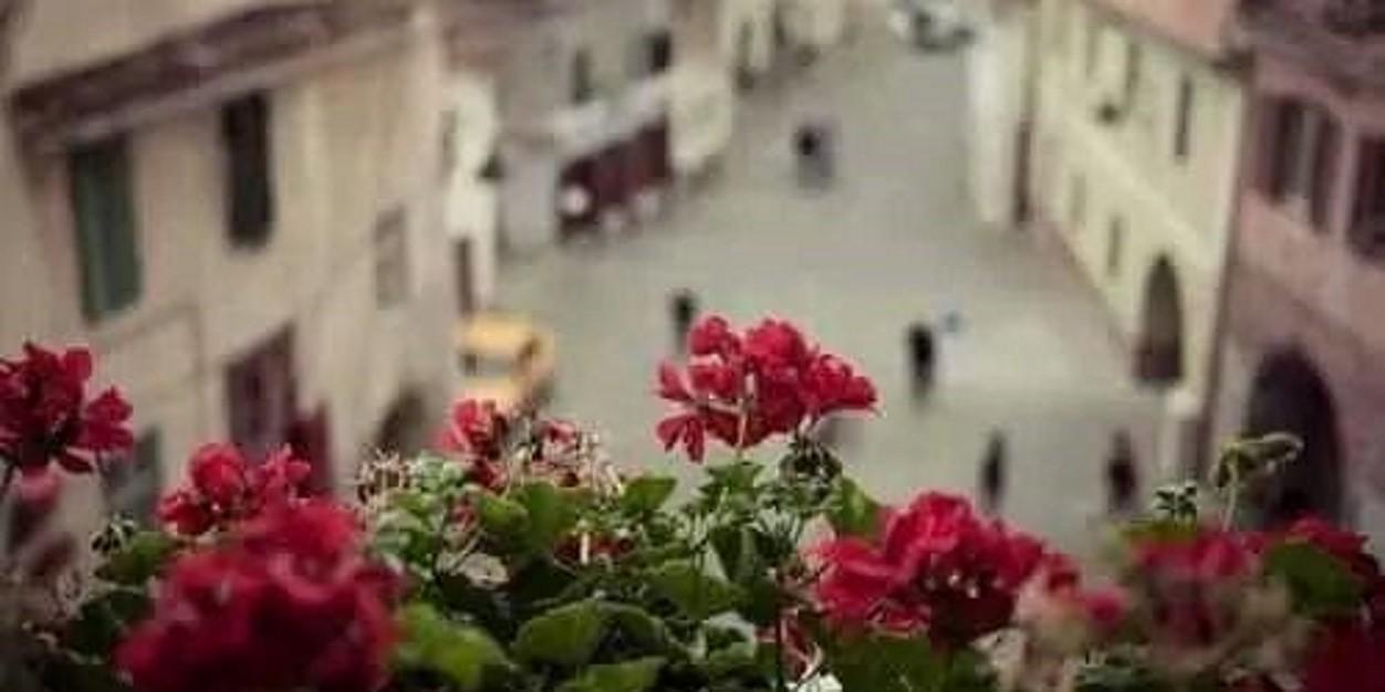 Amiraaaa_a's profile banner image