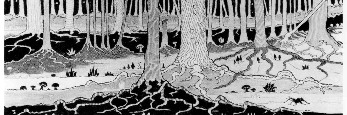 maro_baker's profile banner image