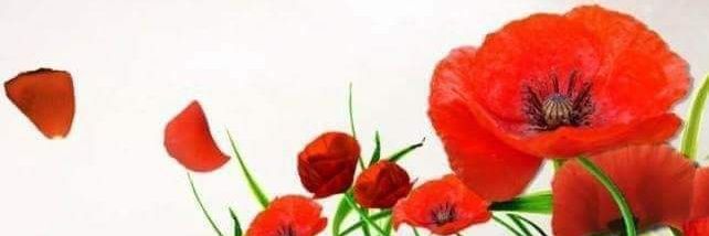 Trevor_Snaith's profile banner image