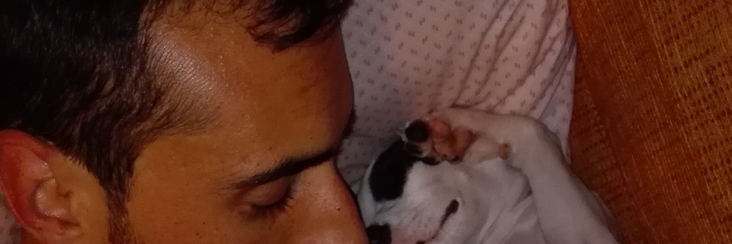 mimimifer's profile banner image
