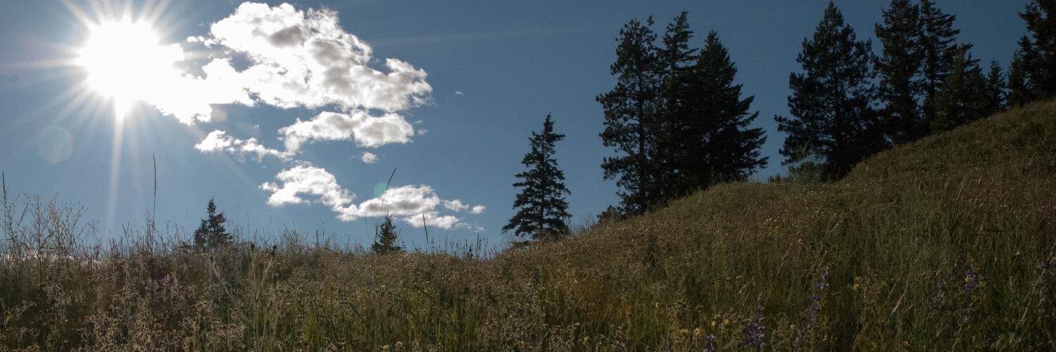 tadmcilwraith's profile banner image
