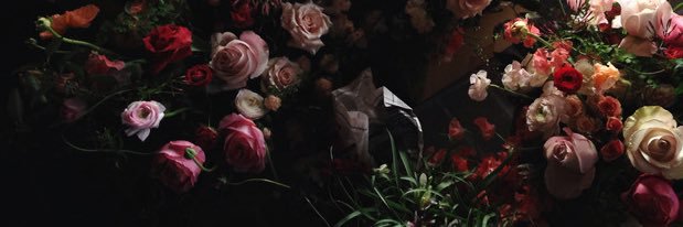 michaela_216's profile banner image