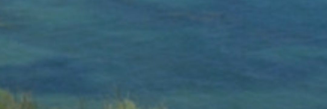 Caty🔻 banner