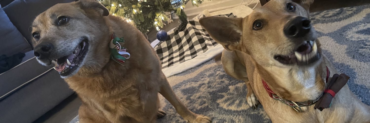 Chris Johnson banner