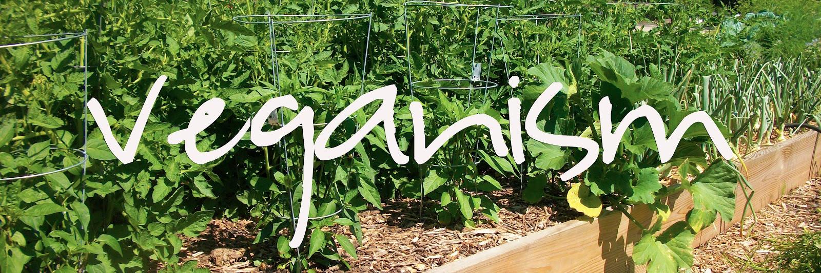 VegansTips's profile banner image
