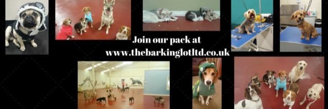 barkinglotltd's profile banner image